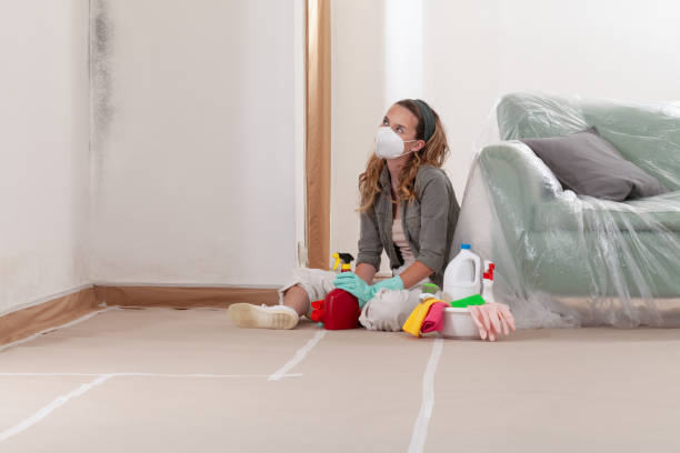 Reliable Mold Remediation contractor in Westville, NJ by Cheap Mold Removal